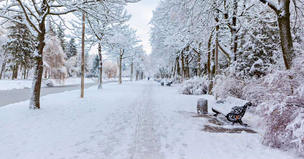 Christmas in Cumbria: A Festive Wonderland