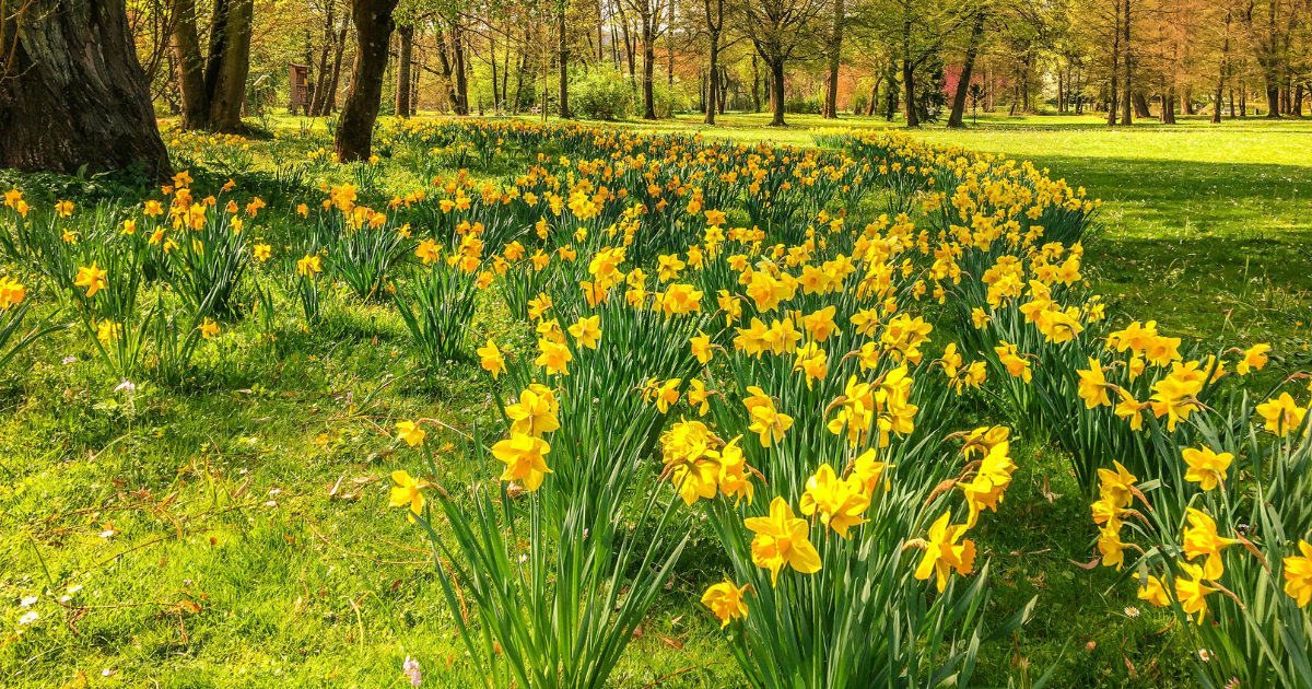 Visiting Carlisle in Spring